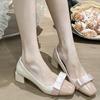 French Small Fragrant Temperament with Skirt Thick Heel High Heels Sweet Bow Single Shoes Women's Spring and Autumn 2025 New