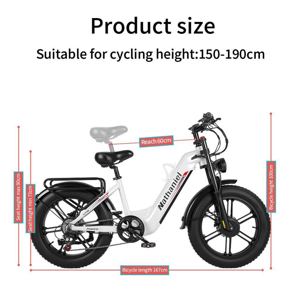 Nathaniel's New SYR08 Outdoor Electric Bike, Dual Motor 2000W, 20x4.0 Integrated Wheels, 48V20AH, Speed 50+, Snow/sand Outdoor Bike