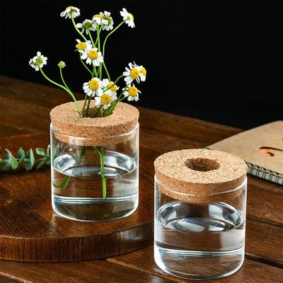 Hydroponic Plants Flower Pot Creative Hydroponic Plant Pots for Living Room Office Study Decor