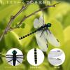MTDDYMXLFG Onyanma-kun Insect Repellent Dragonfly-kun Insect Repellent Goods Insect Repellent