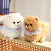 Superior-Grade Cute High-Standard Simulation Pomeranian Premium-Quality Lovely Premium-Quality Plush High-Standard Stuffed High-Standard Animal