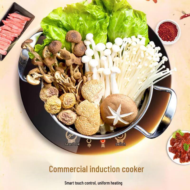 Sule Mini Built-in Round Induction Hot Pot Cooker