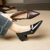 Coarse Heel Mary Jane Shoes Camellia Pointed Head Shallow Mouth High Heel Commuter Work Shoes Women