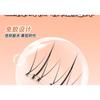 Bonnie Wisp - Glue-free Bottom False Eyelashes Clusters