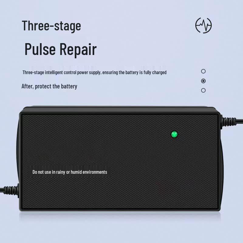 Zheng Yuan Smart Pulse Elektrofahrzeug-Ladegerät