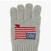 Polo Ralph Lauren Touch Screen Flag Gloves Pc1443 032