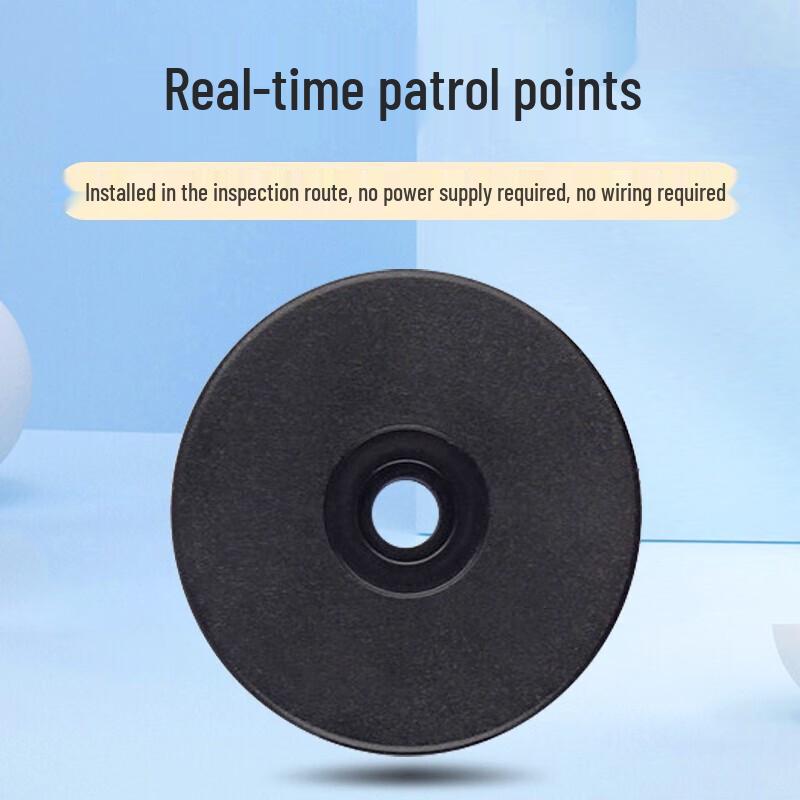 Realand RFID Patrol Point