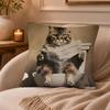 Bathroom Cat Reading On Toilet Cushion Cover Anti-dustmite Pillowcase Invisible zipper silky short plush Sofa cushion cover