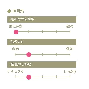 Authentic Kumano Brush Chikuhodo Silver Fox Cheek Brush, Black Handle, R-C5, Hiroshima, Regular Series, Makeup Brush, CHIKUHODO (Black)