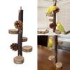 Parrots Grinding Scratchers Perch Pinecone Bird Stand Cage Toy Ladder Rack Toy Grinding Perch Supplies