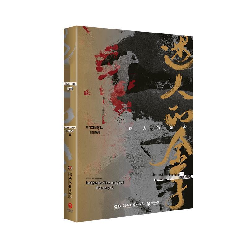 Popular Chinese Suspense Novels