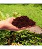 Coconut Fiber for Plants and Flowers 10 Mm 5l