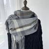 Plaid Scarf Women's New Autumn and Winter Fashion Imitation Cashmere Fringed Shawl Warm and Thickened Scarf Windproof, Warm & Decorative