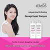 Aekyung Essential Oil Care Shampoo
