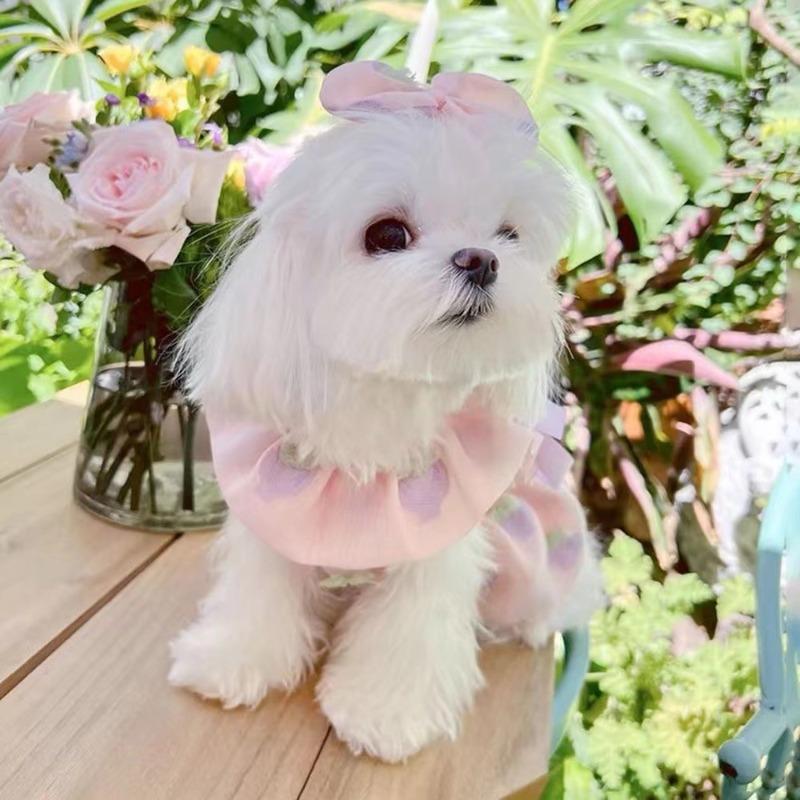 Pet clothes cat dog Maltese Pomeranian small dog princess style skirt cute puppet