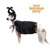 FRENCH dog cat Halloween clothing cosplay witch Maleficent cape hat funny goods costume disguise Whippet Italian Greyhound Bulldog small medium tools