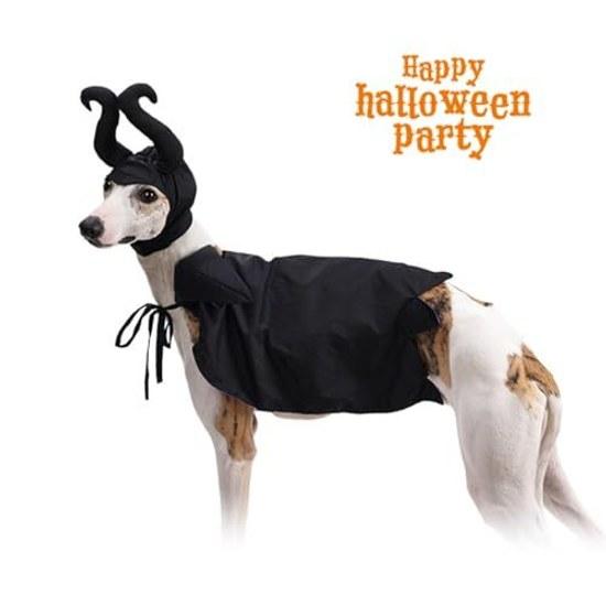 FRENCH dog cat Halloween clothing cosplay witch Maleficent cape hat funny goods costume disguise Whippet Italian Greyhound Bulldog small medium tools