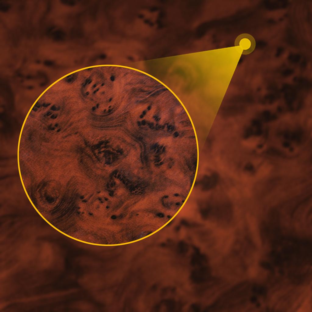 For Ford Focus 2012—2018 Carbon Fiber Car Accessories Front Door Armrest Handle Panel Decorative Cover Trim Sticker Modification