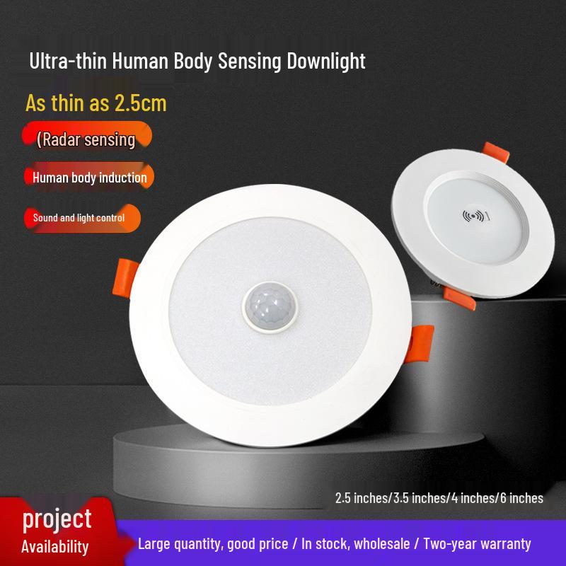 Slim Voice-Controlled Radar Downlight for Ceiling, Stairs, and Balcony