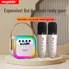 Ensemble Portable d'Enceinte Bluetooth Sans Fil et de Microphone pour Karaoké en Famille