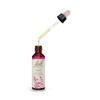 Fleurs de Bach n°11 Elm - Orme 20ml