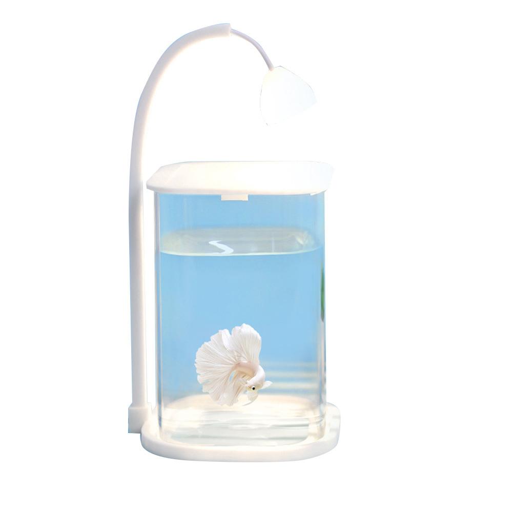 

Аквариум для рыб, прозрачный стеклянный аквариум со светом, дышащая крышка, устойчивое основание, настольный маленький аквариум, декор для рабочего стола с рыбками