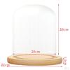 Cloche Tabletop Display Case Jar with Wooden Diy Craft Making Supplies