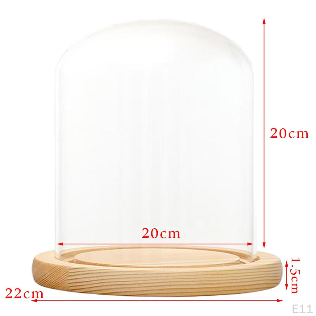 Cloche Tabletop Display Case Jar with Wooden Diy Craft Making Supplies