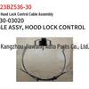 Toyota 2023 BZ3 Hood Line 53630-03020