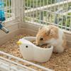 Voor dieren – Knaagdieren
