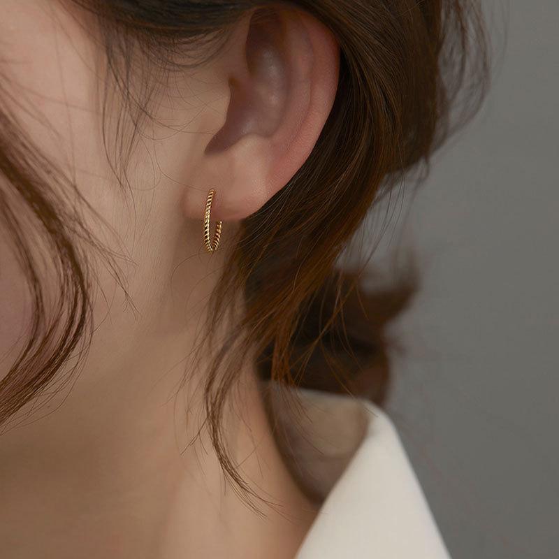 Ear Buckle Female Delicate Earrings Female Minimalist Light Luxury Fashion Senior Sense of Versatile Earrings Elegant Accessories Classic Jewelry