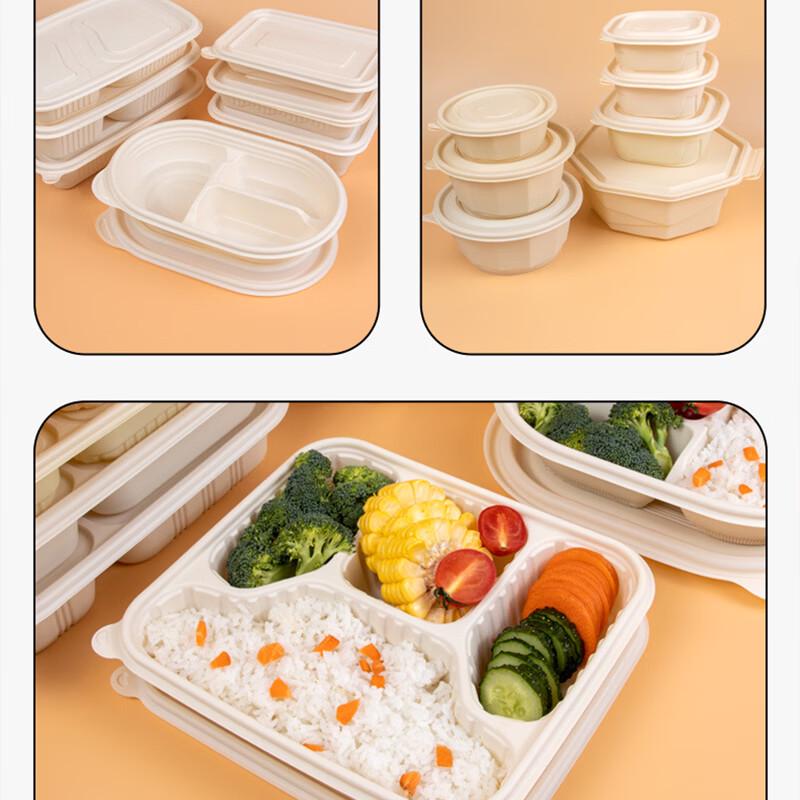 Eco-Friendly Disposable Rectangular Take-Out Food Containers (50 Sets, 500ml)