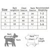 Creative Pet Halloween Dress Pumpkin Pattern Pet Pumpkin Lace Dress  Pet Supplies
