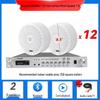 Wireless Indoor Ceiling Speaker with Wall-Mountable Hanging System