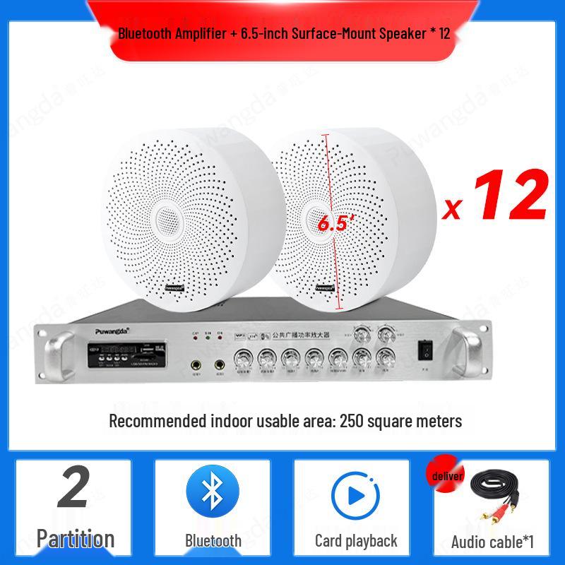 Wireless Indoor Ceiling Speaker with Wall-Mountable Hanging System
