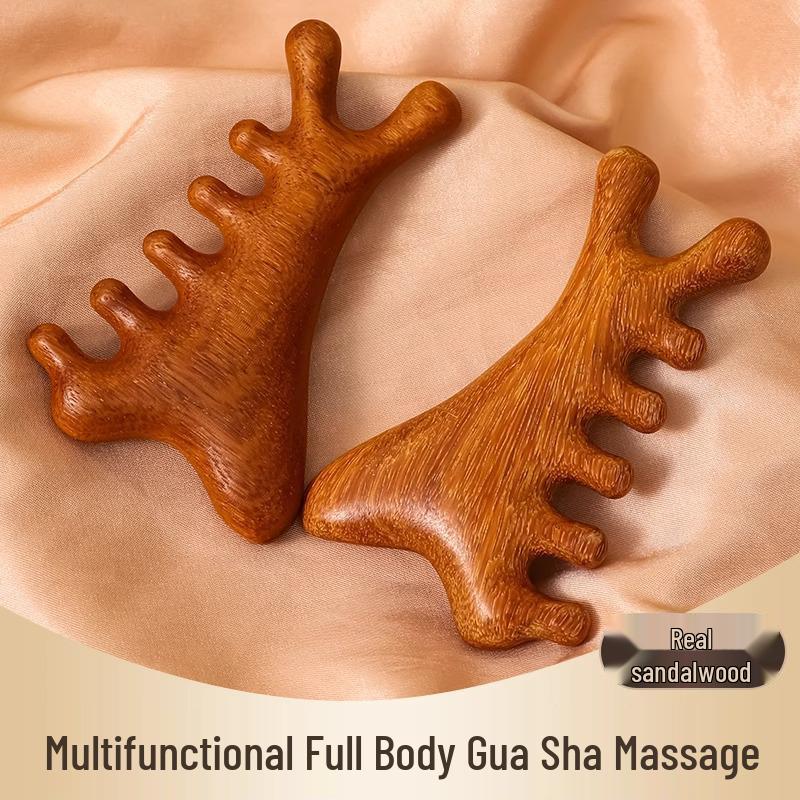 Dolphin-Shaped Multifunctional Acupoint Guasha Comb for Scalp Massage