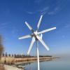 800w – wie abgebildet