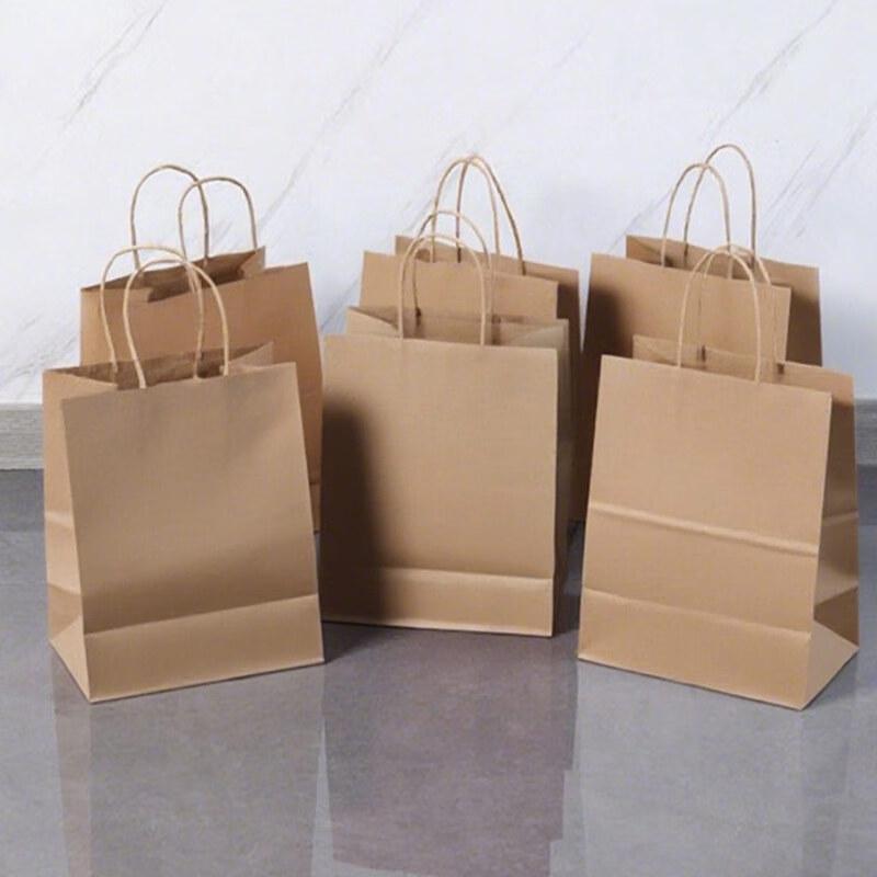 20-Pack Kraft Paper Gift Bags