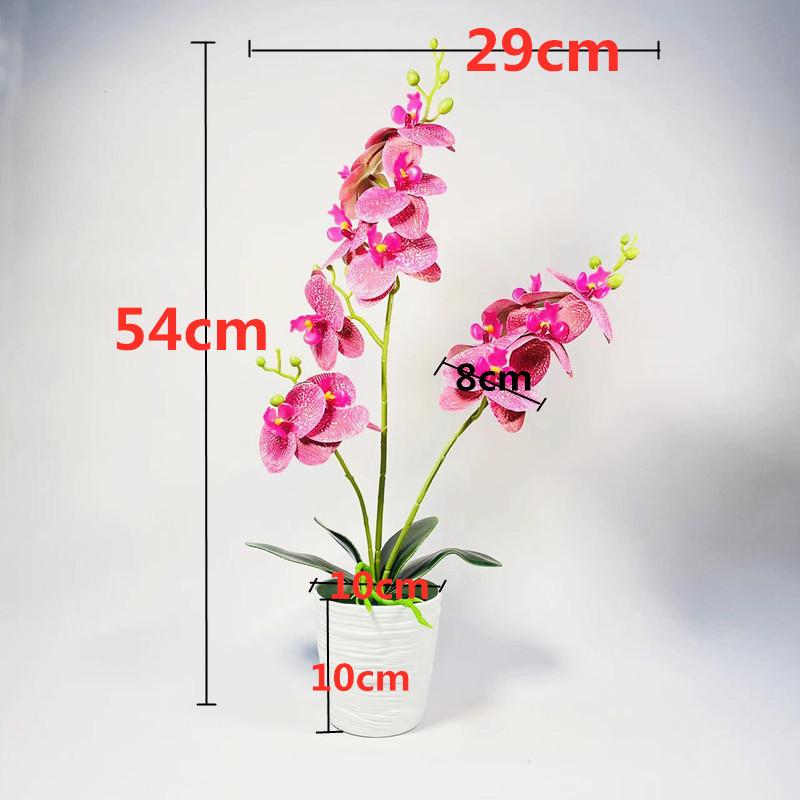 Phalaenopsis Potted Plant Ornament For Office Desk And Living Room Decor