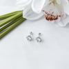 Silver Earrings with Cubic Zirkonia (2152743)