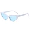 Eyewear 11063 Fashion Classic Women Cat Eye Sunglasses