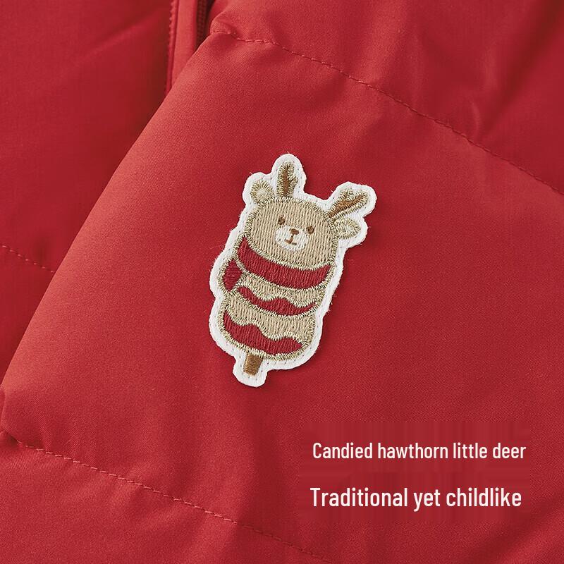 YEEHOO Unisex Three-Proof Winter Down Jacket