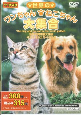 DVD  - Sekainowanchan Nekochan Daisyuugou 300DVDJ5 DAISO Japan Movies & DVD Used