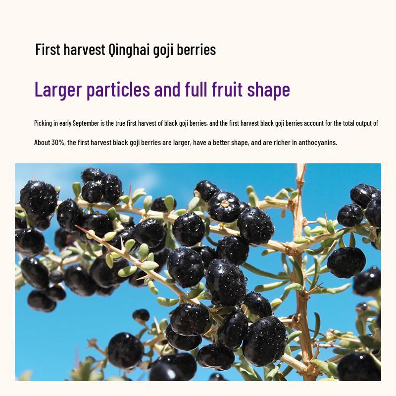 Tong Ren Tang Premium Black Goji Berries