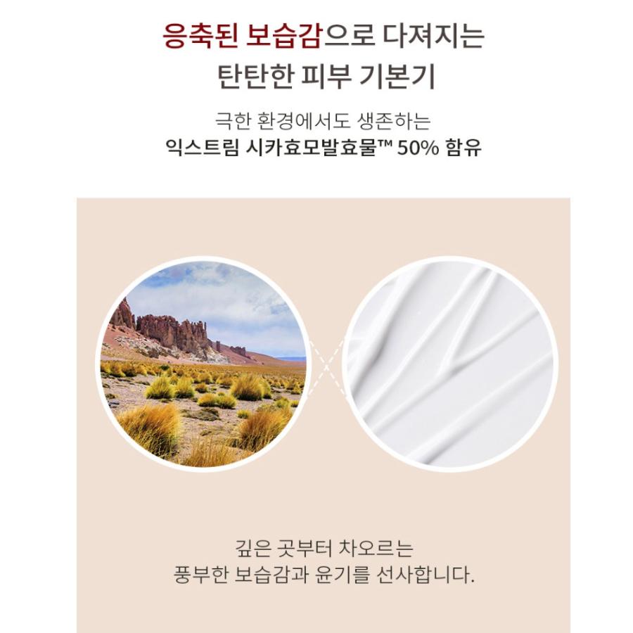 MISSHA Time Revolution The First Essence Lotion 5X 130ml