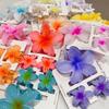 Gradient Plumeria Claw Clip Set: 18-Piece Floral Hair Accessories