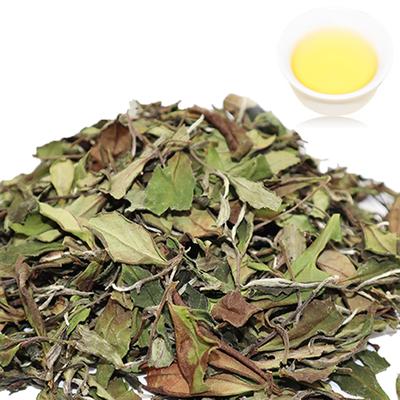 Fuding Gongmei Weißer Tee Taimu Mountain Loseblätter Bai Cha 500g