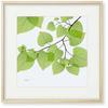 Interior Flower Art Framed X "Spreading Leaves" Painting, Panel, (43cm 43cm)