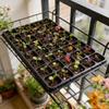 Plant Nursery Tray Multi Hole Seed Starter Pots With Drainage Seedling Grow Containers For Vegetables Flowers Succulents Indoor