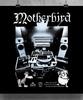 [Atw X Motherbird] Mastering Hoodie
